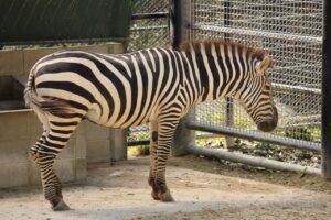 福岡で小顔整形を受けるならおすすめのクリニックは？