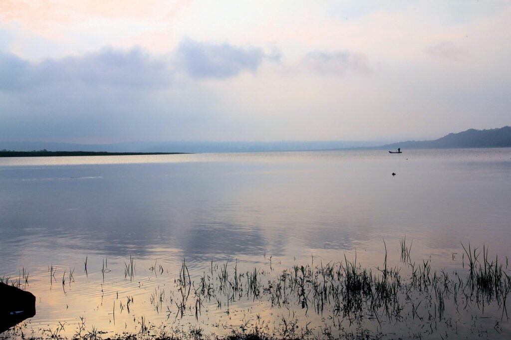 埋没の値段相場はどれくらい？