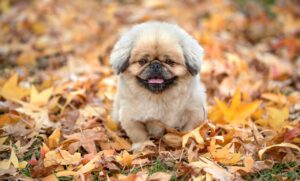 埋没相場について知っておくべきことは？