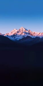 ボトックスの効果がピークに達するタイミングはいつですか？