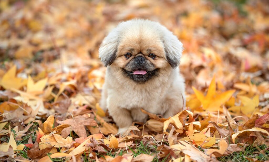 ボトックスの効果が最大限に引き出されるピークはいつ？