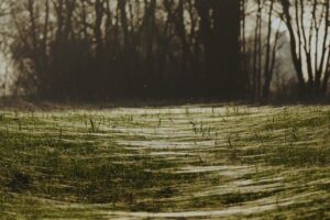 糸リフトの持続期間はどのくらい？