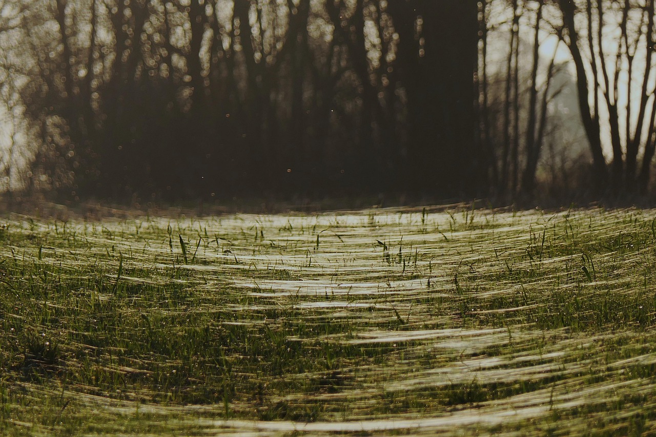 糸リフトを安く受けるためのおすすめクリニックは？