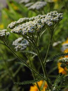 鼻整形の口コミランキングで選ぶべきクリニックは？