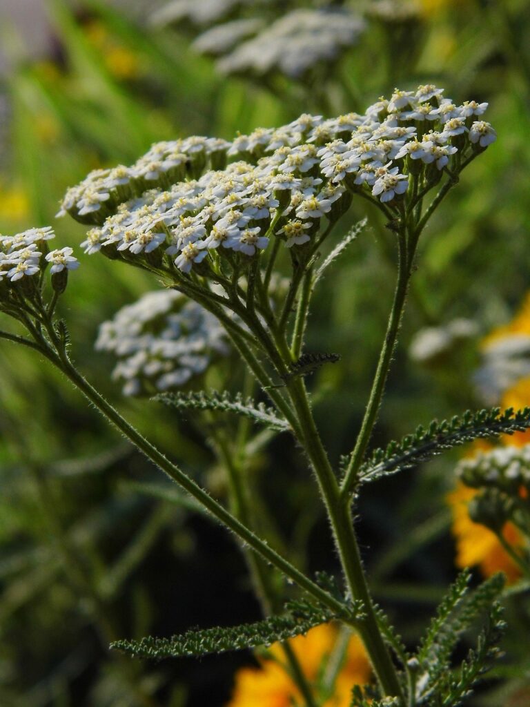 鼻整形の口コミランキングで選ぶべきクリニックは？