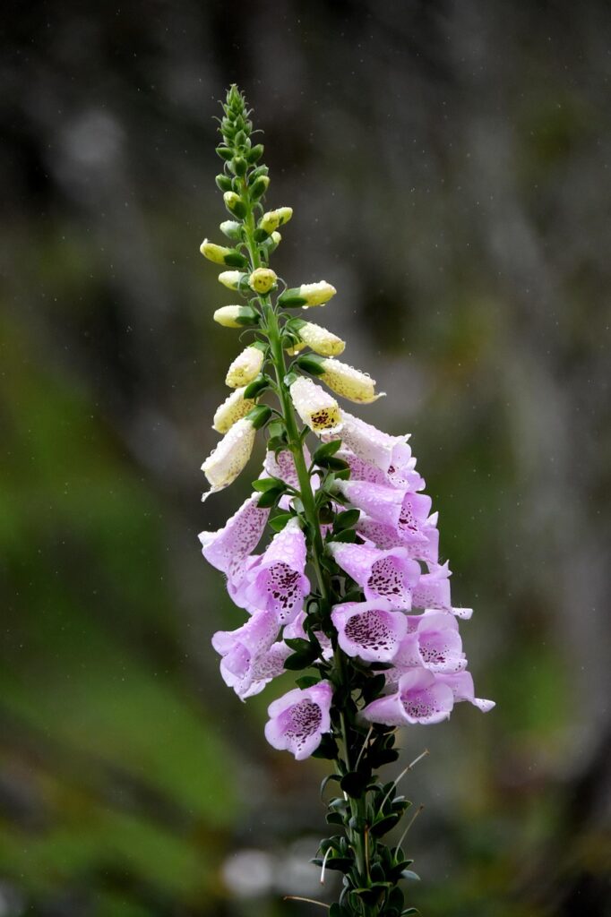 ニキビ治療における期間の目安はどれくらい？