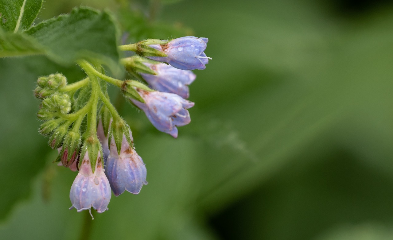 ニキビ治療の美容皮膚科初診時の流れはどうなっている？