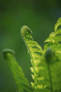 ノンコメドジェニックなスキンケア製品はどれがおすすめ？