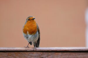 豊胸におけるヒアルロン酸の効果とは？