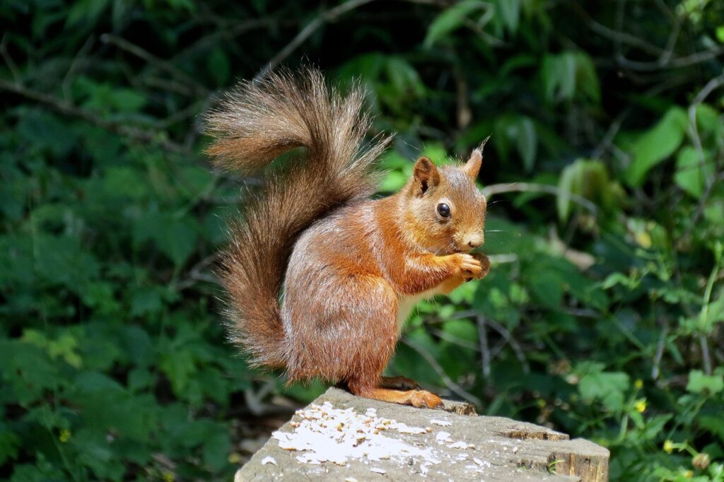 ニキビが何年も治らない原因と解決策は？