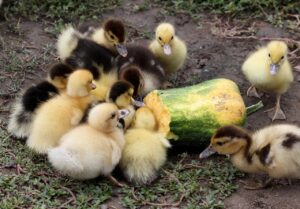 分割払いは一体いくらから始められるの？