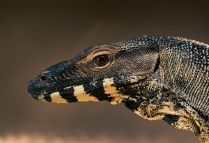 豊胸術のモニター手術は本当にお得？メリットと注意点を徹底解説！